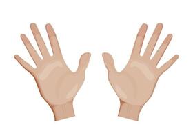 Front palm side of hand illustration design. Realistic arm, fingers and wrist. vector