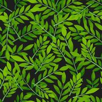 Green seamless pattern leaves on black background. Jacaranda and tropical plants design. vector