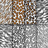 Tiger, zebra, giraffe and leopard print skin. Wildlife seamless pattern background set. Africa style wallpaper. vector