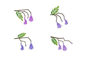 Jacaranda Mimosifolia tree. Flowers, buds and leaves on the branches set. Flora in Australia and Portugal. vector