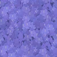 Jacaranda Mimosifolia, lilac flowers seamless pattern background. Beautiful floral wrapper. vector