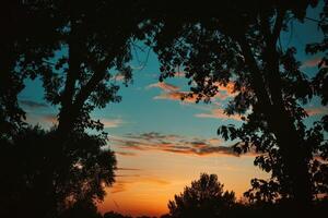 The breathtaking scenery of a serene twilight sky adorned with enchanting silhouettes of trees Perfect for a copy space image photo