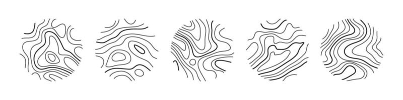 Circular wood rings or topographic map lines texture set. Wood tree topographic abstract lines collection vector