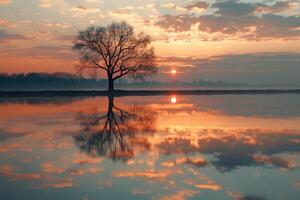 Picturesque view of leafless lonely tree growing and reflecting in calm lake at sundown time. photo