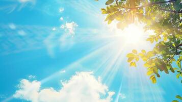 Sun rays protection with copy space image photo