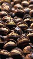 Cooking Chestnuts on the Griddle in the Streets of Rome at Christmas video