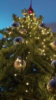 Low Angle Of Christmas Tree Seen From Below In The Room video
