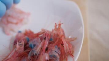 Chef Cleans Italian Blue Shrimps In An Italian Restaurant video
