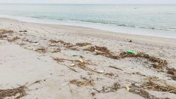 Dirty Beach With Plastic From Debris And Reed Branches Near The Ocean video