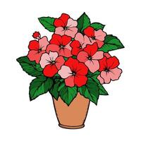 Vibrant bouquet of red and pink flowers in a pot bringing color to any space vector