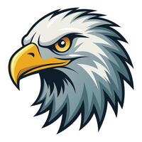 Eagle head isolated background vector
