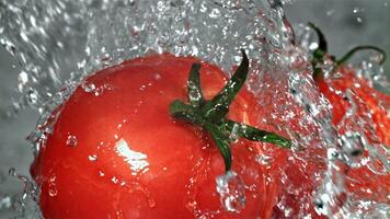 Fresh tomatoes with a splash of water. Filmed on a high-speed camera at 1000 fps. High quality FullHD footage video
