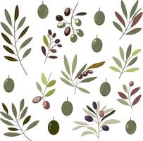 Set of hand drawn collection of olive branches and olives. features a collection of leaves and olives, for botanical, natural, and rustic-themed projects. For packaging, textile, or digital design. vector