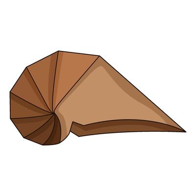 illustration of origami shell