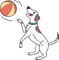Dog playing with ball vector