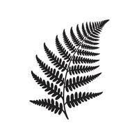 Minimalist Design of Fern Silhouette on White Background vector