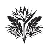 Black Silhouette of Tropical Flower on White Background Minimalism vector