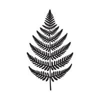 Fern Silhouette Minimalist Artwork on White Background vector