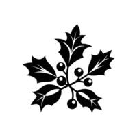 Elegant Mistletoe with Sharp Leaves and Bold Round Berries vector