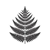 Minimalist Black Silhouette Design of Fern Foliage on White Background vector