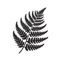 Black Silhouette of Fern on White Background Minimalist Design vector