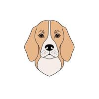 Beagle dog muzzle in linear flat style on white background. vector