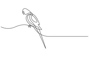 Continuous one line drawing of cute parrot bird vector