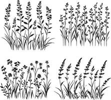 Silhouette of a grass graphic on white background vector