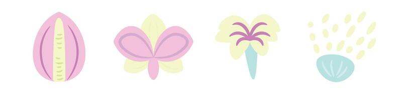 A set of four different flowers with different colors vector