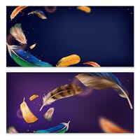 Colorful Floating Feathers Abstract Background vector