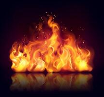 Fire flames and effects in realistic illustration vector