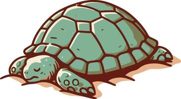 A turtle with a large shell and a small head vector