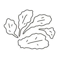 Kale. Outline illustration on white background. vector