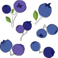 Graphic outline illustration set of two blueberries isolated on white transparent background. Various blueberry bunches. vector