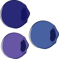 Graphic line blueberry set, three colored berries, isolated illustration on transparent background vector