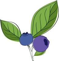Blueberry branch minimalistic graphic line style composition. sprig of blueberries with leaves and berries vector