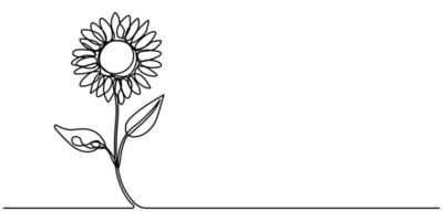 sunflower continuous one line art drawing vector
