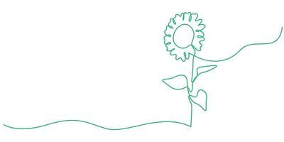 continuous one simple single abstract line drawing of sun flower isolated vector