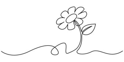 Single continuous line drawing some sunflowers with their leaves vector