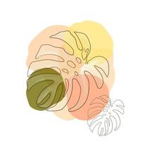 Monstera leaves on multicolor background. Hand drawn. vector