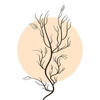 Dry tree branch with leaves on white background. vector