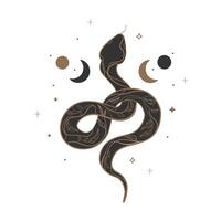 Magic celestial snake with floral pattern moon and stars hand drawn line art style. Floral magic Snake with half moon Logo, print, tattoo Boho design. Mystical witchy symbol. illustration vector