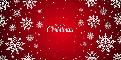Decorative Christmas banner with snowflakes and stars design vector