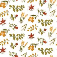 A pattern of illustrations of autumn foliage, flowers, and seeds made in a flat style. The dried leaves of different trees are highlighted in white. Package. Herbarium, dried flowers, on tape vector