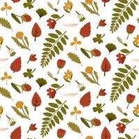 pattern of illustrations of autumn foliage, flowers, seeds, made in a flat style. The dried leaves and berries of different trees are highlighted in white. Packing with herbarium, dry flowers, storage vector