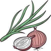 illustration of an onion with onion leaves vector