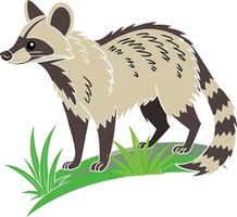luwak, illustration of a civet, art, isolated on white vector