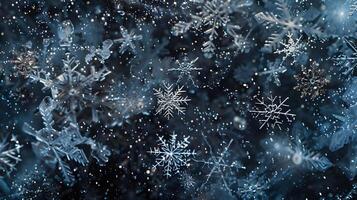 Snow. Realistic snow overlay background. Snowfall, snowflakes in different shapes and forms photo