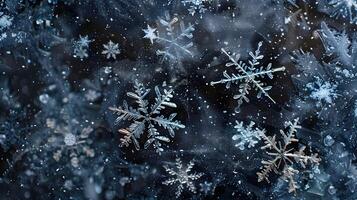 Snow. Realistic snow overlay background. Snowfall, snowflakes in different shapes and forms photo
