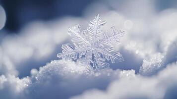 Snow. Realistic snow overlay background. Snowfall, snowflakes in different shapes and forms photo